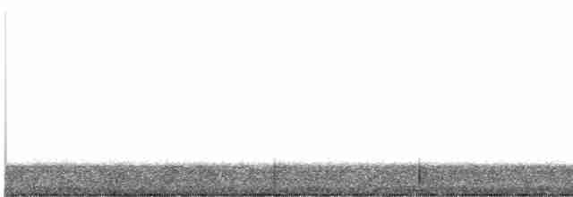holub krátkozobý - ML360126821