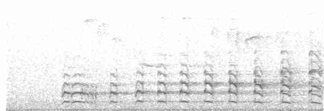 Common Gallinule - ML360156681