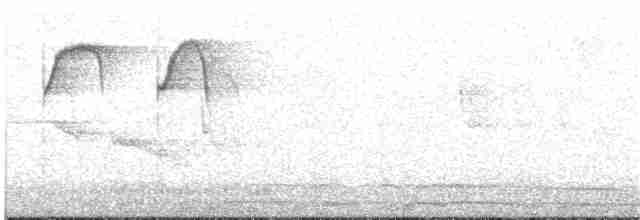 Тиран-крихітка золотогузий - ML360195931