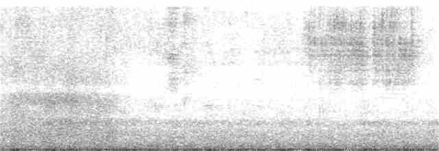 Batı Amerika Sinekkapanı [difficilis grubu] - ML360203231