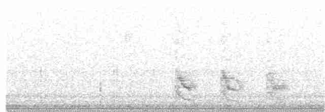 Kızılca Karınlı Ağaçkakan - ML36021511