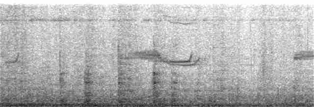 Breitspiegel-Nachtschwalbe - ML360223411