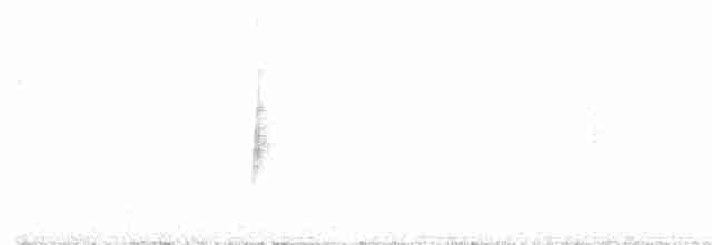 Красногрудая гранателла (venustus) - ML360239421