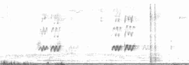 Chalk-browed Mockingbird - ML360247851