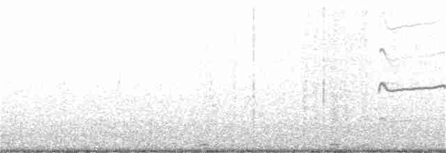 Чернолицый ибис - ML360249671