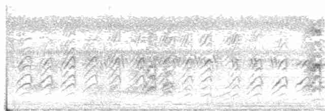 オジロヤブチメドリ - ML36027741