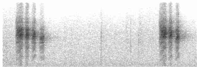 Rotbrust-Paradiesschnäpper - ML360288141
