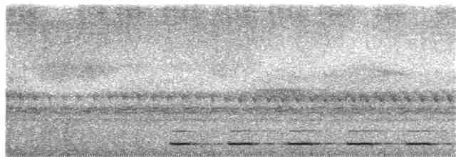 madagaskarugle (rutilus) - ML360288151