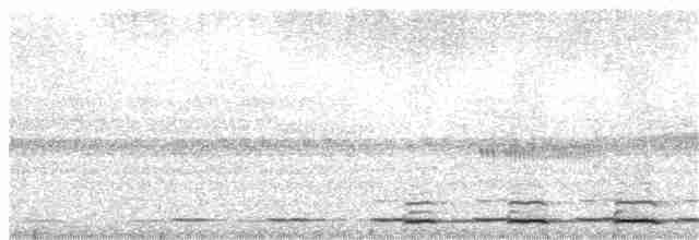 Сплюшка мадагаскарська (підвид rutilus) - ML360288181