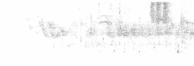 Rostflankenkleiber - ML360294321