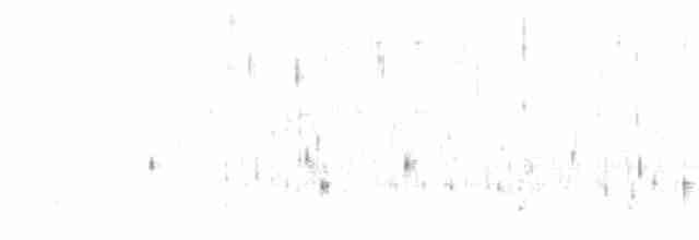 Daurian Redstart - ML360294561