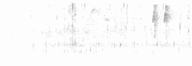 Rostflankenkleiber - ML360294641