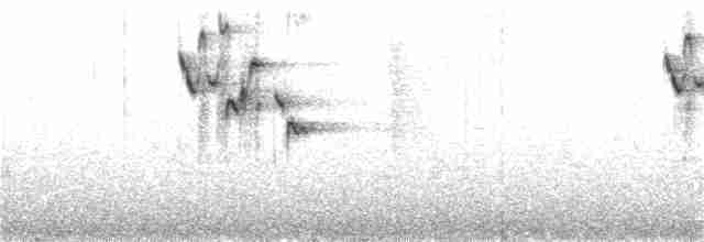 Troglodyte montagnard - ML360345131