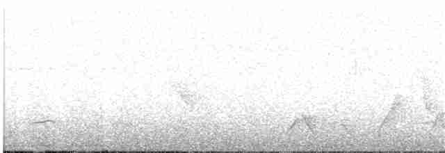 Plain-tailed Wren - ML360346981
