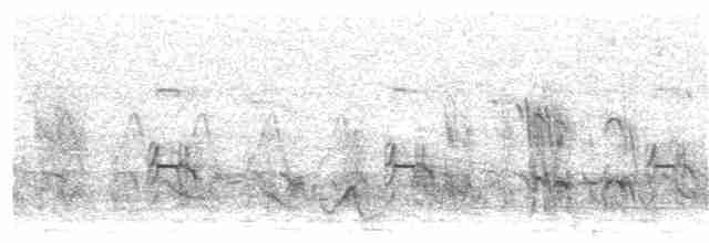 Crested Francolin (Crested) - ML360489401