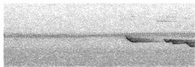 Рувензорская короткохвостка - ML360491521