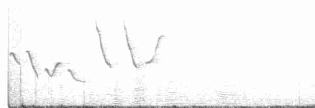 Yellow Warbler (Mangrove) - ML360495501
