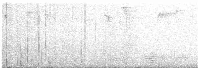 Brown Eared-Pheasant - ML360501521