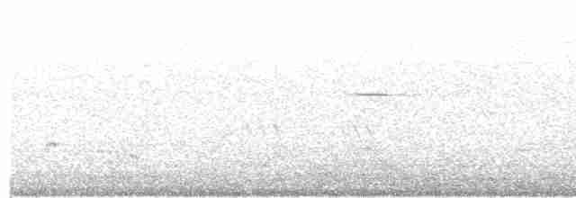 Pale-footed Bush Warbler - ML360504031