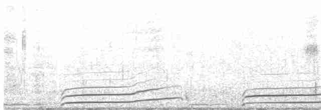 Южный ныряющий буревестник - ML360506441