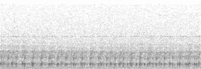 Cigogne blanche - ML360522401