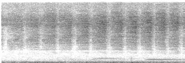Karolina Çıtkuşu - ML360528461