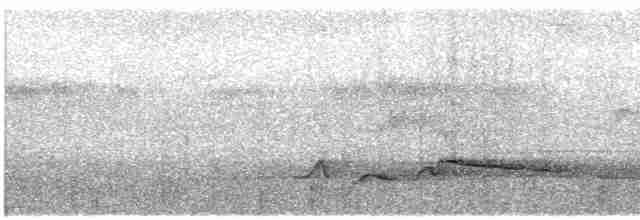 Зернолуск білогорлий - ML360556881