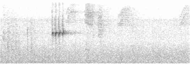 Kısa Kuyruklu Küçük Tiran - ML360694791