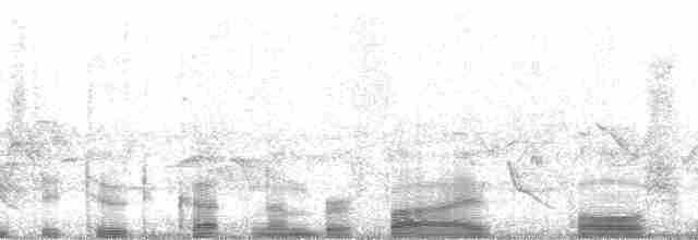 Turuncu Gagalı Bülbül Ardıcı [aurantiirostris grubu] - ML3607