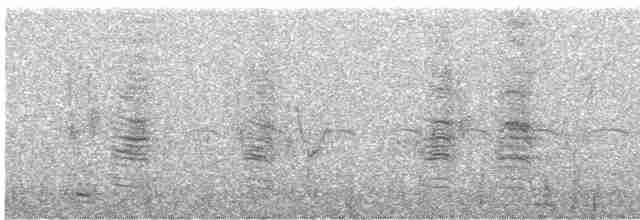 Great Reed Warbler - ML360712521