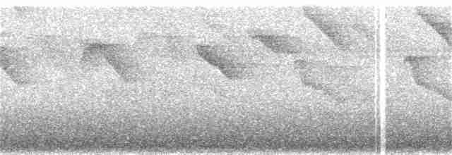 Черногорлый колибри-отшельник - ML360728231