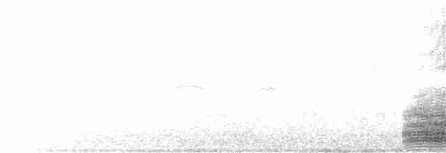 Little Egret - ML360735561