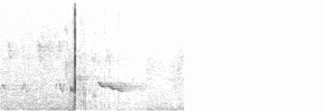 İnce Gagalı Yaprakbülbülü - ML360763881