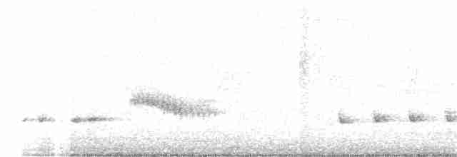 Chalk-browed Mockingbird - ML360770071