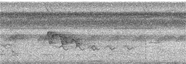 holub šupinkový - ML360788641