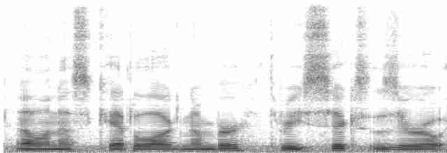 Turuncu Gagalı Bülbül Ardıcı [aurantiirostris grubu] - ML3608