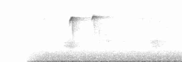 Black-capped Chickadee - ML360829621