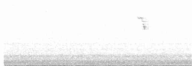 Калифорнийская кукушка-подорожник - ML360866731