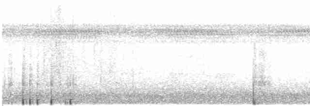 Орел-чубань індійський [група limnaeetus] - ML36094971