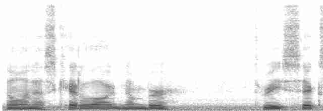 Turuncu Gagalı Bülbül Ardıcı [aurantiirostris grubu] - ML3610