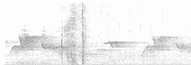 Костариканский колибри-герцог - ML361012201