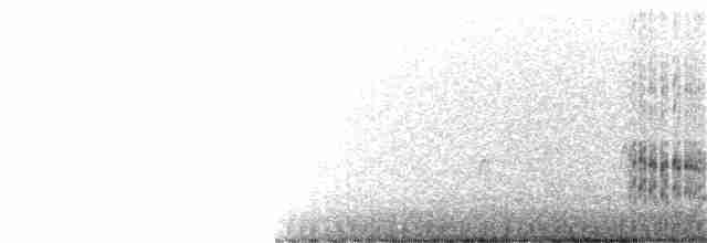 Крячок жовтодзьобий - ML361071071
