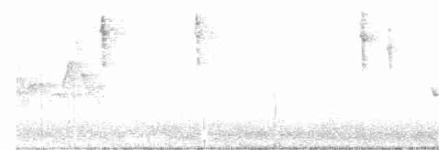 Speckled Warbler - ML361083721