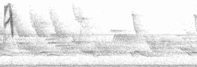 Turuncu Gagalı Bülbül Ardıcı [aurantiirostris grubu] - ML3611