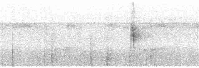 Braunscheitel-Ameisenvogel - ML361101441