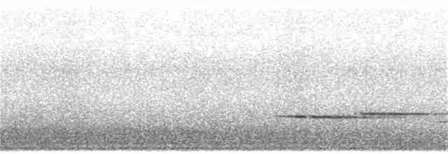 Flütçü Çıtkuşu - ML361103081