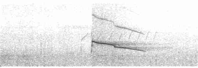 Чернолицая агуйла - ML361103201
