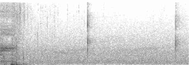 Гребенечуб андійський - ML361135851