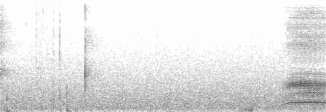 Гребенечуб андійський - ML361135921