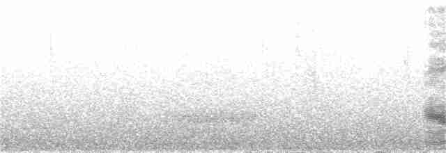 Гребенечуб андійський - ML361135951